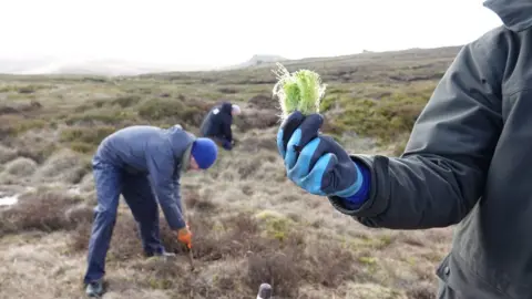 Volunteer holding sphagnum moss