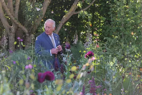 Getty Images The King, an elderly man in a blue suit, wanders through a garden