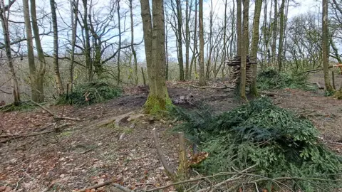 Supplied A wooden den inside Buxton's Grin Low Woods