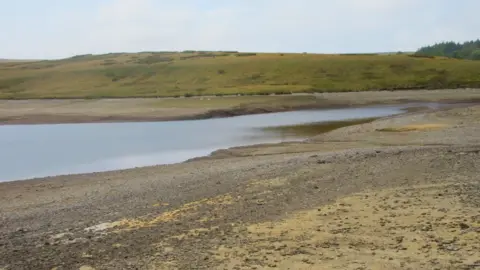 Tudur Davies Llyn Aled Isaf in Conwy. The banks of the lake are dried up, the nearest bank is sandy with pebbles on, the bank in the distance is green, with a hill rising up behind it. 