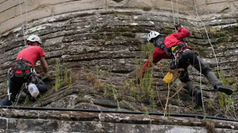PA Two people in red tshirts and white helmets are abseiling stone castle walls while reaching for overgrown weeds on the cast walls