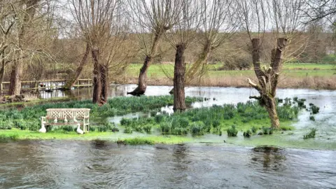 WeatherWatchers/Angie Sun A lone bench stands above a flooded plain, with trees, plants and grassland all under water in front and behind the raised area on which the bench sits.