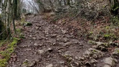 National Trust Gorge Walk at Cheddar Gorge showing churned-up earth and a muddy covering