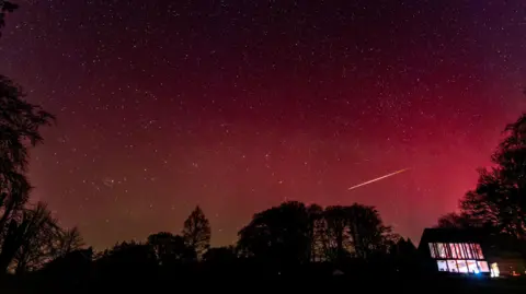 Grizedale Observatory A meteor shoots across a red sky, with the forest below in silhouette below.