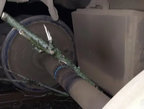 Network Rail A branch trapped between the axle of a train wheel