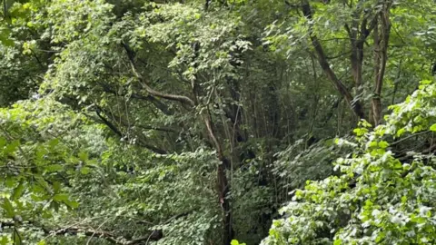 Protect Earth Blacksworth Road Wood