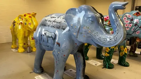 Amara is painted with one side showing a scene in the short animated feature The Boy, The Mole, The Fox and The Horse. It shows a boy facing a horse with a quote on the elephants side back. 