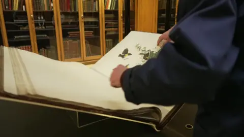 Birds of America in its glass case. A librarian is turning the pages very delicately. The room is lined with books on shelves. 