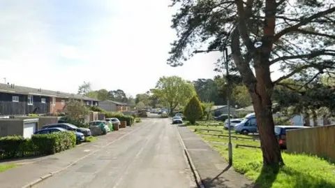 Billing Avenue has bungalows on both sides of the road, with garages on one side and grass verges on the other. A medium-sized tree stands at the entrance to the road.