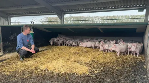 Richard Baugh is pictured with dozens of pigs at his farm. He is kneeled down next to them, wearing a blue jumper and a red poppy. 