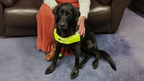 Dawn Gerber/BBC Guide dog Lea