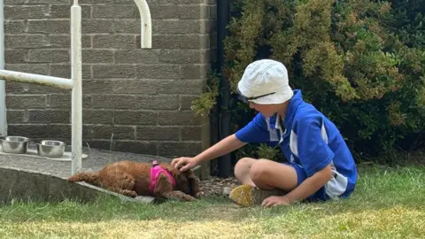 Supplied A child is sitting on the grass outside a building stroking Nellie the cockapoo's head. The student is wearing a blue uniform and a white bucket hat. Nellie is lying down on the floor. She is wearing a pink harness.