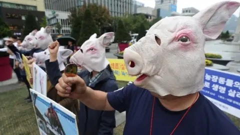 EPA Animal rights activists in Seoul called for an end to the cull on Wednesday