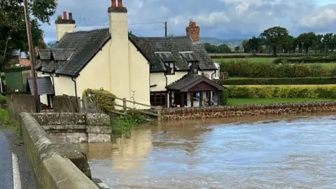 Freda Shaw Swollen river at Llandrinio, Powys