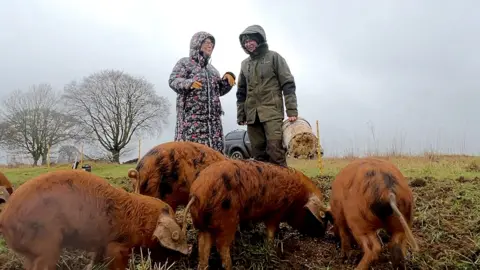 BBC Radio Oxford breakfast presenter Sophie Law stands next to farmer Karl Franklin in a field. They are wearing waterproof coats with their hoods up and standing with four orange long haird pigs on a grey rainy day.