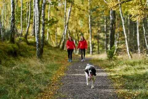 Forestry and Land Scotland A black and white dog walks on a grey path surrounded by green grass and trees, as two women in red jackets and black trousers walk behind. 