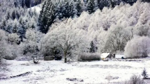 A winter landscape featuring a snow-covered valley, frosted trees, and a small cottage nestled near a dense forest.