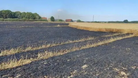 Essex Fire and Rescue Service Burned crops in East Mersea