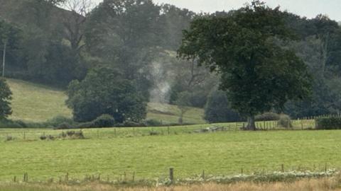 Steam-like substance rising from a field of grass edged by wooden fences and trees
