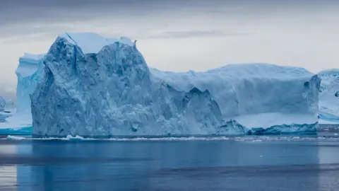 Victoria Gill An iceberg in Antarctica 