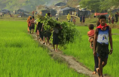 BBC A young Rohingya boy carries branches to construct a makeshift shanty