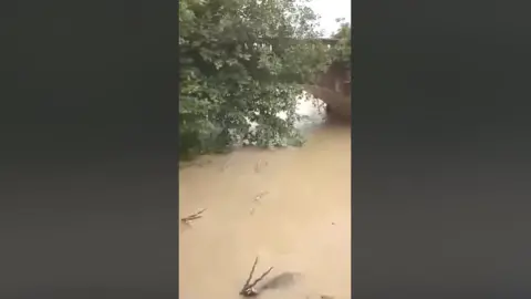 FACEBOOK Deer being swept away by floodwater