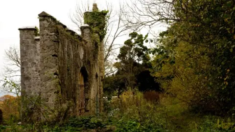 Gwrych Castle Preservation Trust  Before... overgrown area