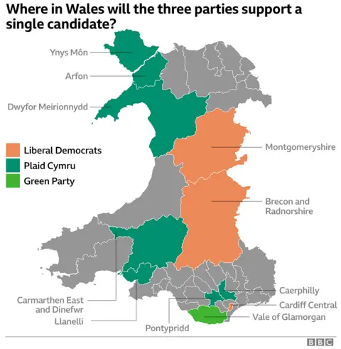 Map showing whether three pro-Remain parties will stand down to support each other in Wales