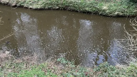 David Kennedy The brown water of the River Crumlin