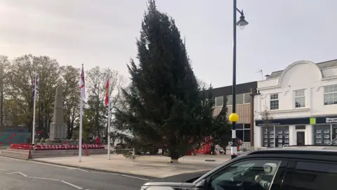 John Devine/BBC A 9m (30ft) Christmas tree, lush and green and leaning slightly to the left. There are shops behind it and the March town war memorial to the left, complete with many red poppy wreaths. A black car is in the foreground, driving along Broad Street