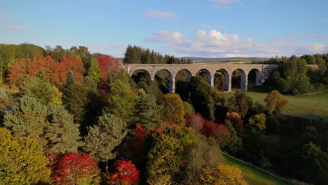 John Pullen Landscape of a viaduct in the middle distance, surrounded by tall trees, changing colours in autumn to red and orange.