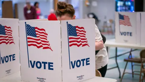 A woman, whose face is obscured by a voting booth, casts a vote