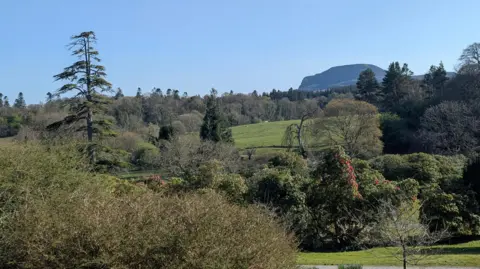 Marina Mc, BBC Weather Watcher Green trees on a hill in sunny weather, with bight blue skies. 