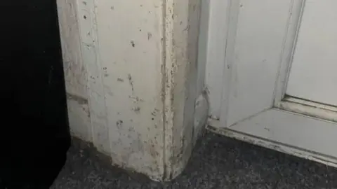 LDRS Mould marks on the lower section of a white door frame and door itself.