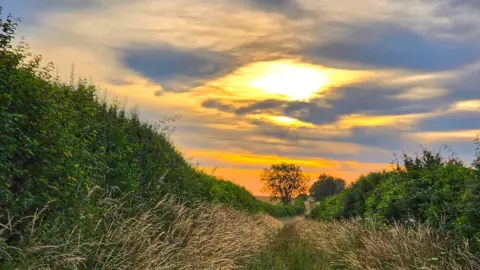 BBC Weather Watcher Susan Ward Piddlehinton, Dorset as the sun rises over a hedge-lined footpath