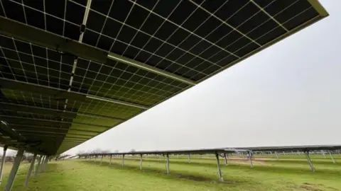 A field full of black and silver solar panels is visible. The grass beneath them is green. The sky is clear and blue. 