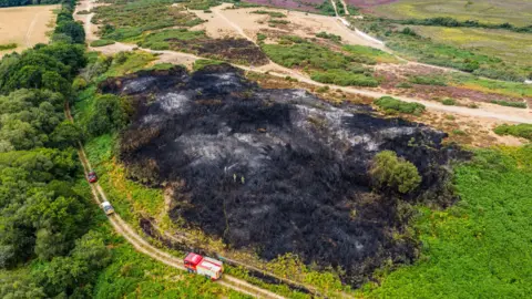 Lewis Johnstone An aerial photo of a large area of charred black heathland surrounded by greenery.