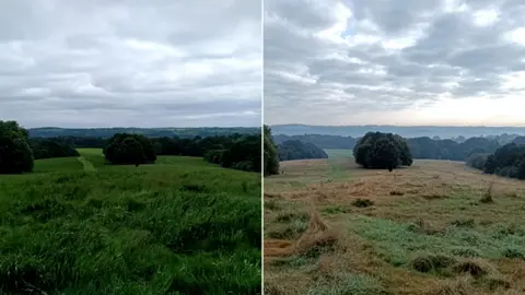 ACE Nature Two photographs side-by-side taken from the same spot in Allestree Park. The one on the left was taken in May and shows bright green grass and a path through the landscape at the back. The photo on the right was snapped in October and the grass is brown and light green, it's difficult to see the path through the park, and the air is slightly misty 