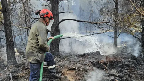 A person wearing protective clothing holds a large, green hose spraying out water in an area of fire-damaged woodland.