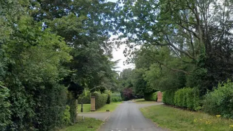 A road lined with trees and bushes on either side.