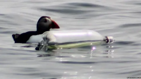 plasticoceans.uk Puffin