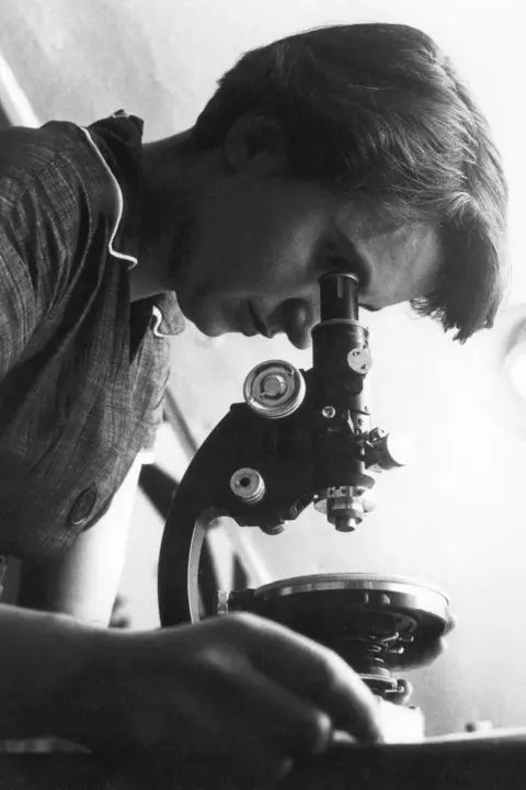 Science Photo Library Rosalind Franklin looking down a microscope