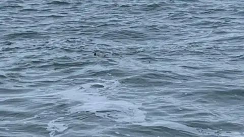 Mike Nicholls The sea which is light blue, with white foam and a small bottle in the middle. 