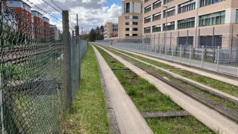 Jozef Hall/BBC New fencing along the Cambridge section of the guided busway