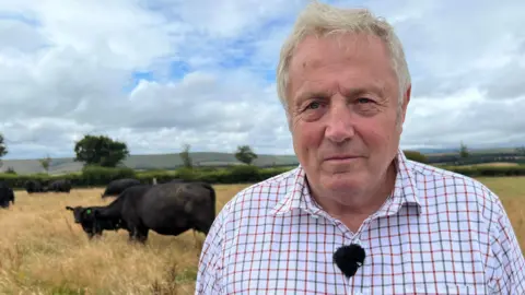 A man with short white hair and wearing a checked shirt is standing in a field with cows. The sky is cloudy behind him with the dry fields full of long, light yellow grass.