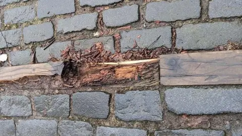 Nick Kempe A wooden step, rotting away from wetness