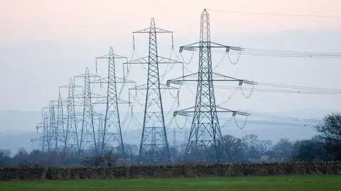 Getty Images A line of pylons with cables running between them sit across fields with short hedges in the Cotswolds on a cold and misty day. The sky is cloudy with a band of pink at the top, and hills in the background are slightly obscured by mist.