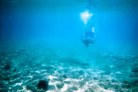 Elaine Miller An underwater diver.