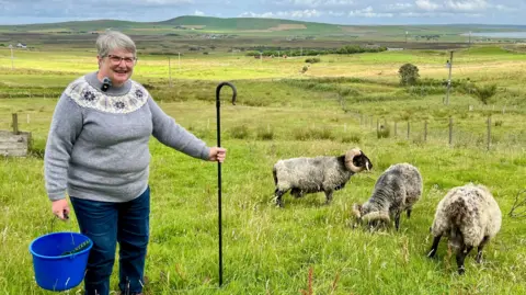 Farmer Jane Cooper stands in a field holding a Shepherd's crook in one hand and a blue bucket in the other. Three of her rare breed Boreray rams with their distinctive large horns are also in the field. 