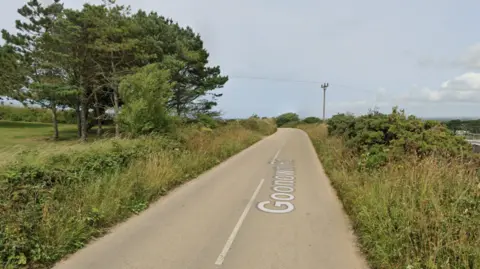 A road in Cornwall where the incident happened, which is surrounded by grass and trees.